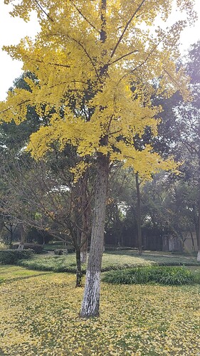 wx_camera_1764651951629